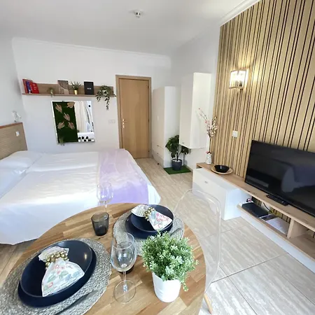 Palmeras Apartamento Puerto de la Cruz (Tenerife)